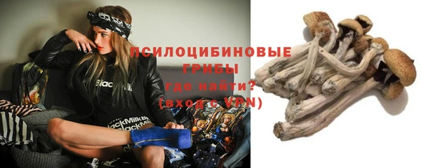 хмурый Арсеньев