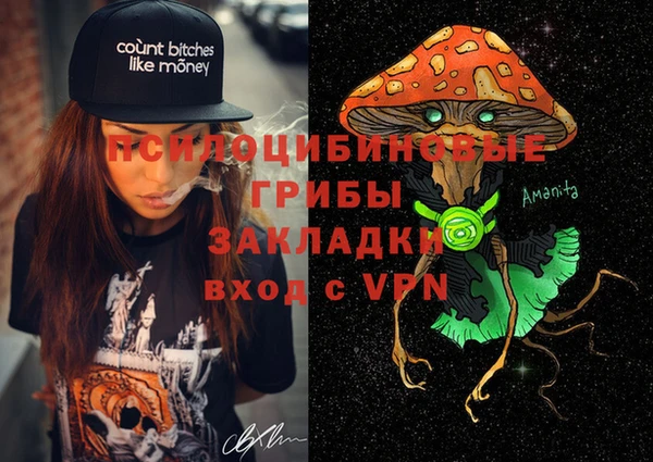 хмурый Арсеньев