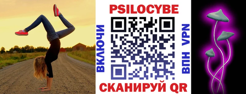 Галлюциногенные грибы Psilocybine cubensis  Сольцы 