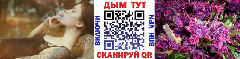 Бошки Шишки марихуана  Сольцы 